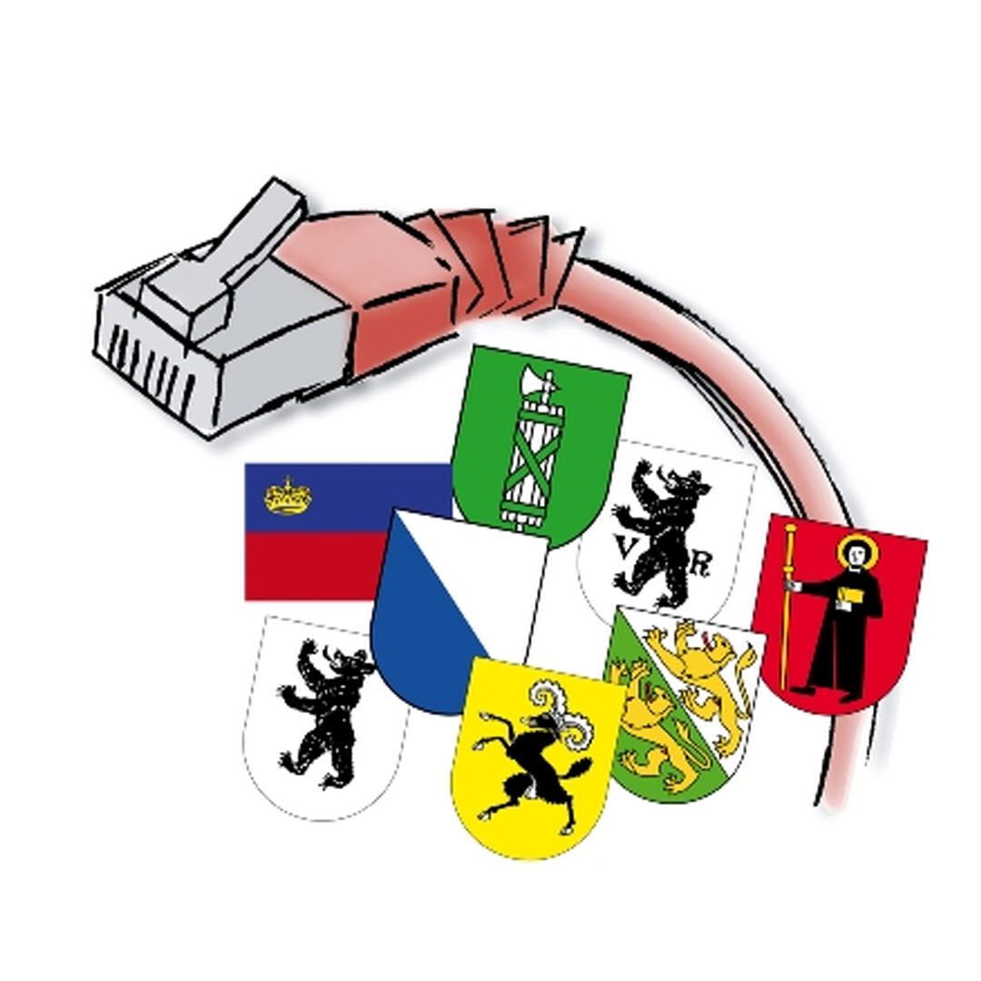 Logo der Kadervernetzung: Netzwerkkabel mit den Wappen von Liechtenstein, St. Gallen, Appenzell Innerroden und Ausserroden, Glarus, Thurgau und Schaffhausen